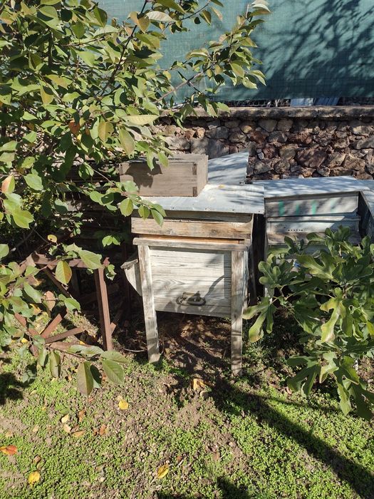 Продавам кошери дадан блат използвани 4 броя.