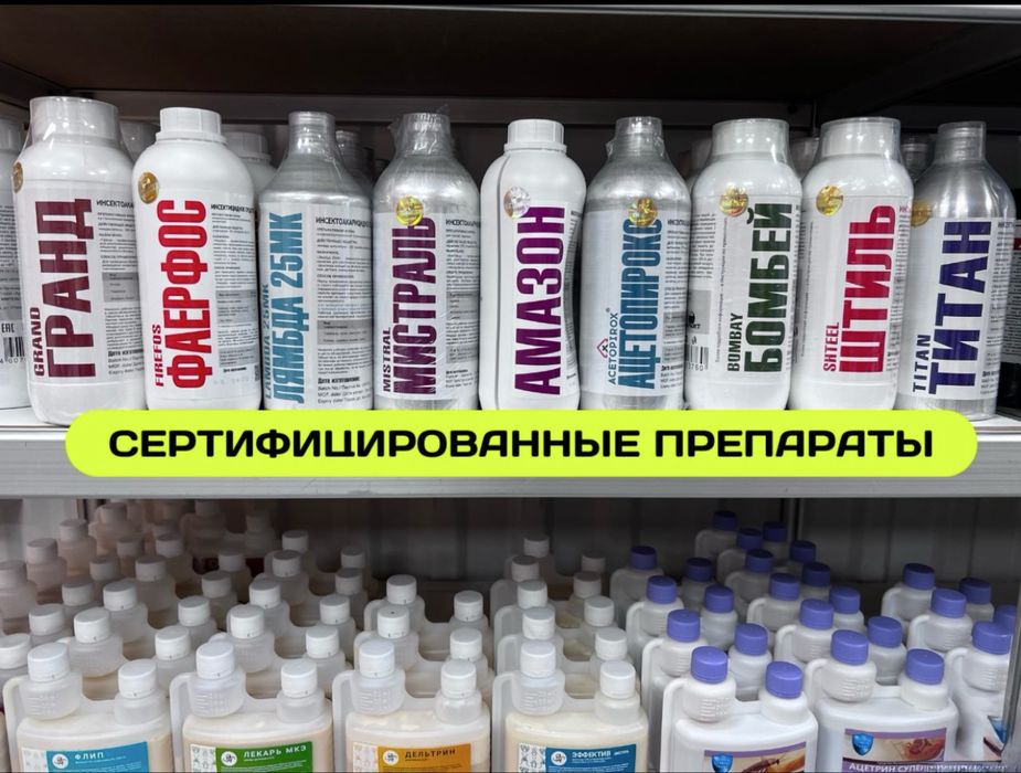 Дезинфекция клопов Тараканов жук короед блоха мышь тышқан қандала