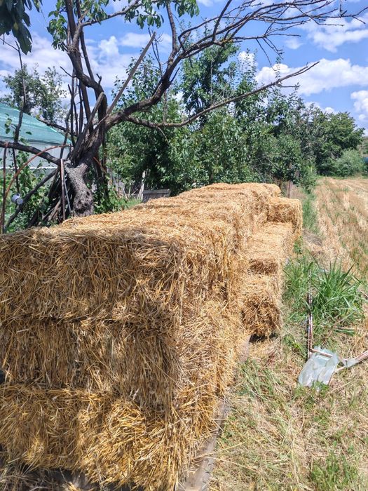 Baloți din paie de grâu