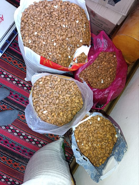 Bodom magʻzi sotiladi!