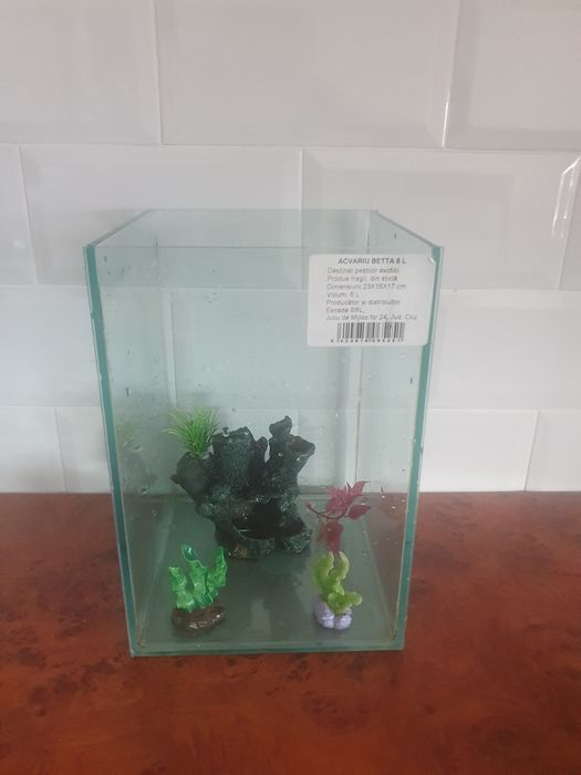 Acvariu 6 litri,pentru beta sau caras