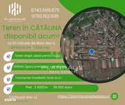 Teren intravilan Cătălina, 1 598 mp ,acces din drum principal