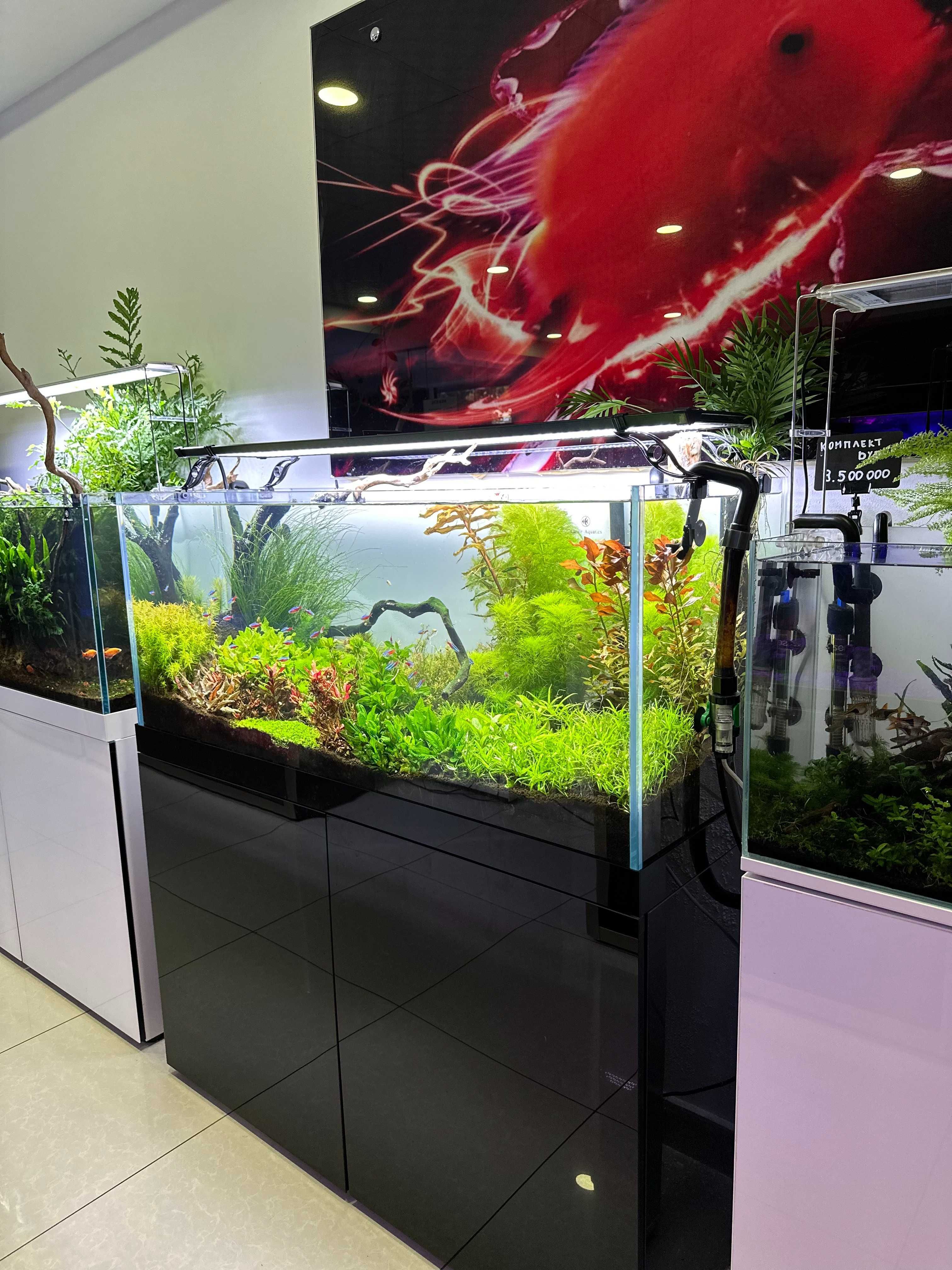 Аквариумы CLEAIR AQUATICS от эксклюзивного дилера в Узбекистане