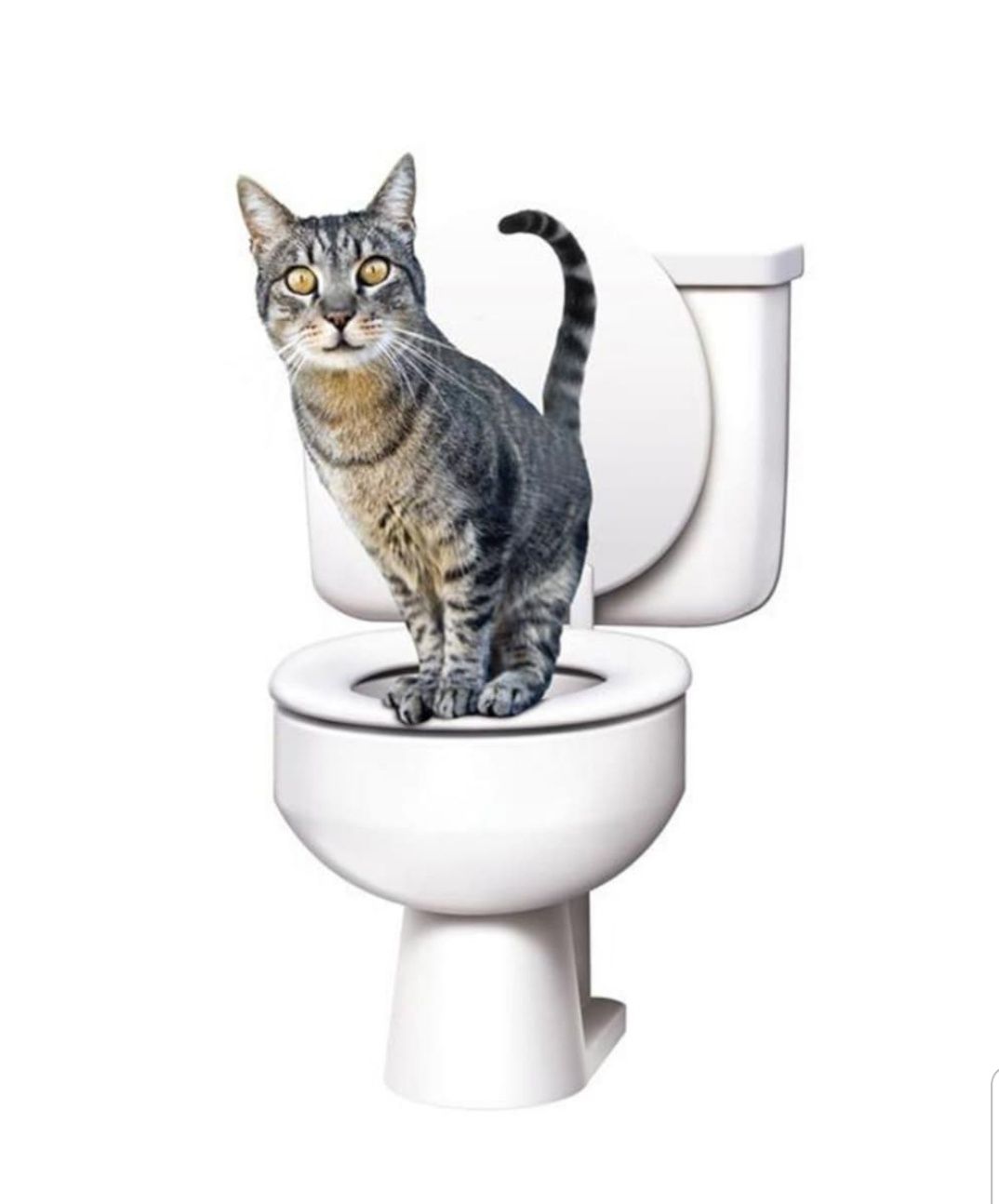 Trusa  kit CITTI KITTY pentru educarea pisicilor la toaleta