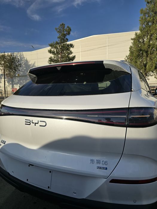 Byd sea lion 06 ev