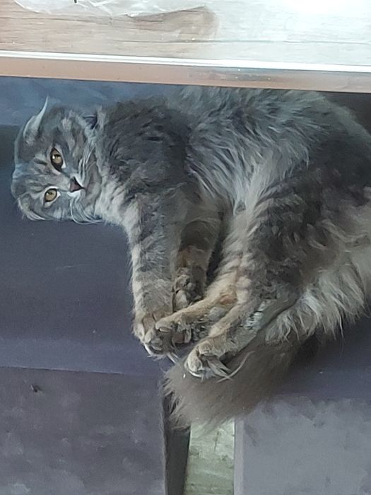 Продается срочно