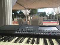 DJ-Orga-Evenimente-Petrecere-Mireasa-Mire Tecuci-Vrancea