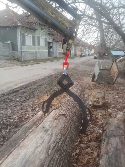 Cleste pentru busteni