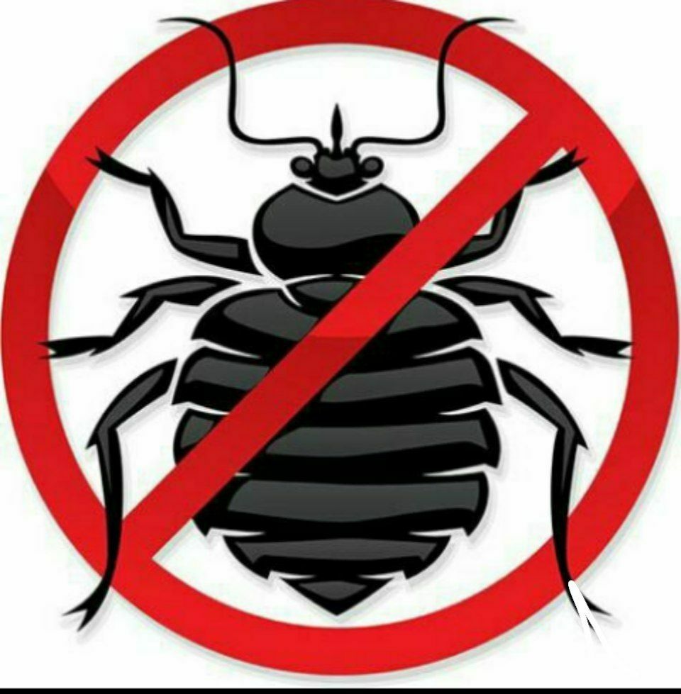 Качественная дезинфекция от всех видов насекомых и грызунов.
