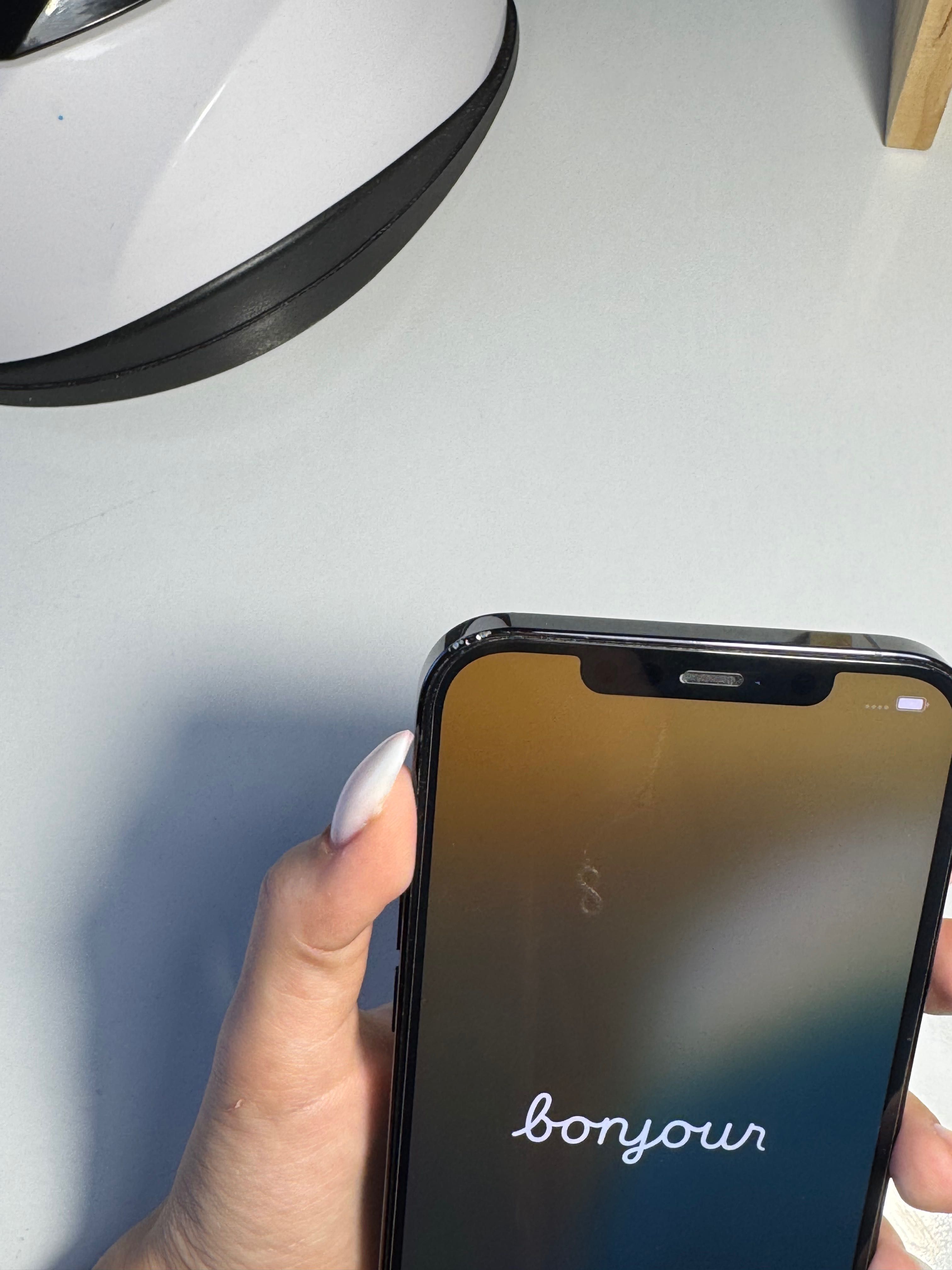 iPhone 12 Pro Max (128 BG)
