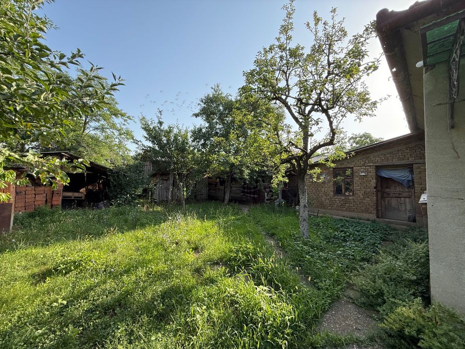 Casă de vânzare cu grădină și viță de vie în Abrămuț – nr. 103