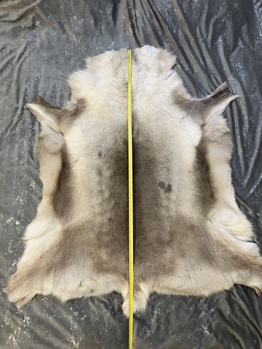 Blana de Ren Finlanda