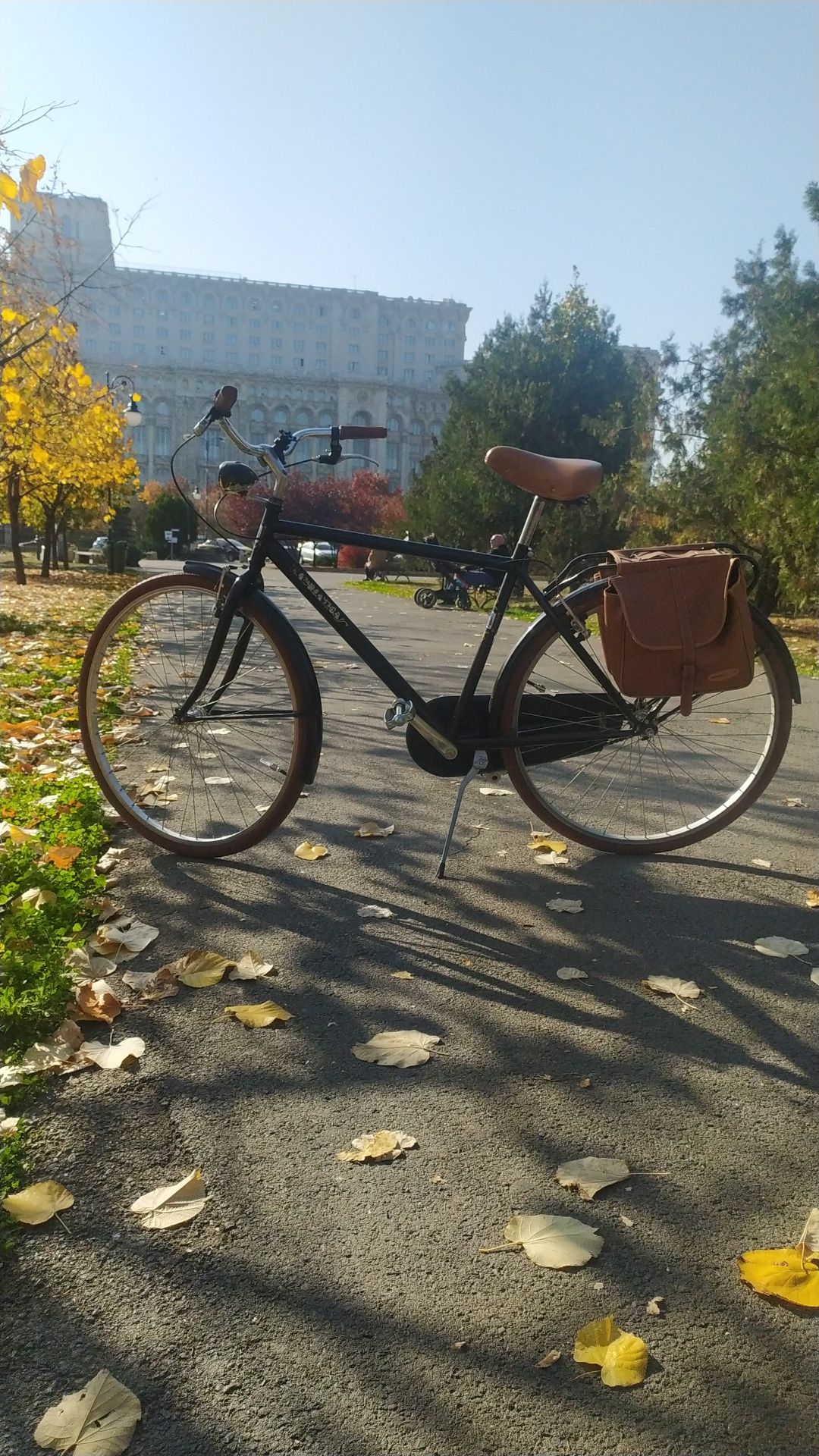 Bicicleta vintage Adriatica Italia
