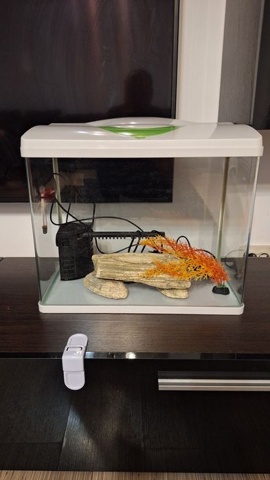 Acvariu 50 litri cu toate accesoriile necesare