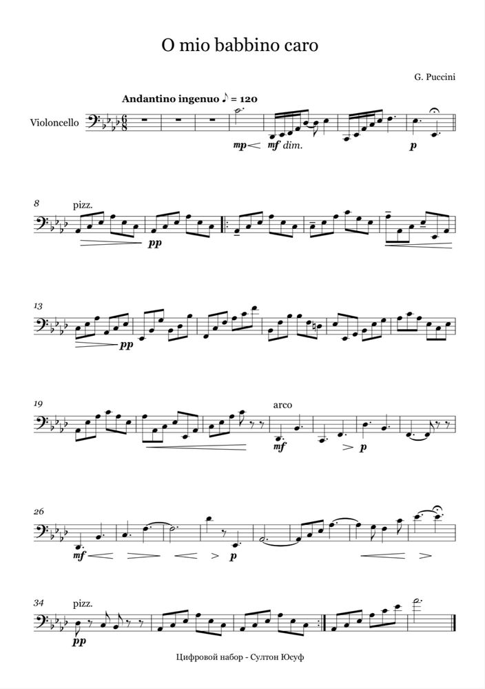 Профессиональный набор нот в Sibelius