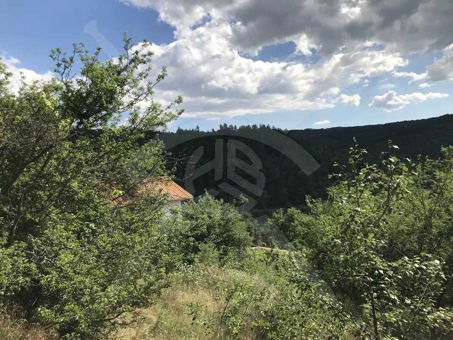 УПИ в с. Мраченик, 65076