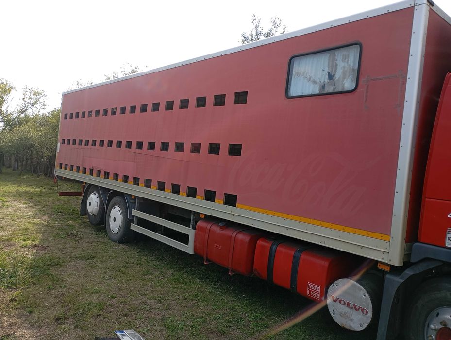 Pavilion apicol,container depozitare