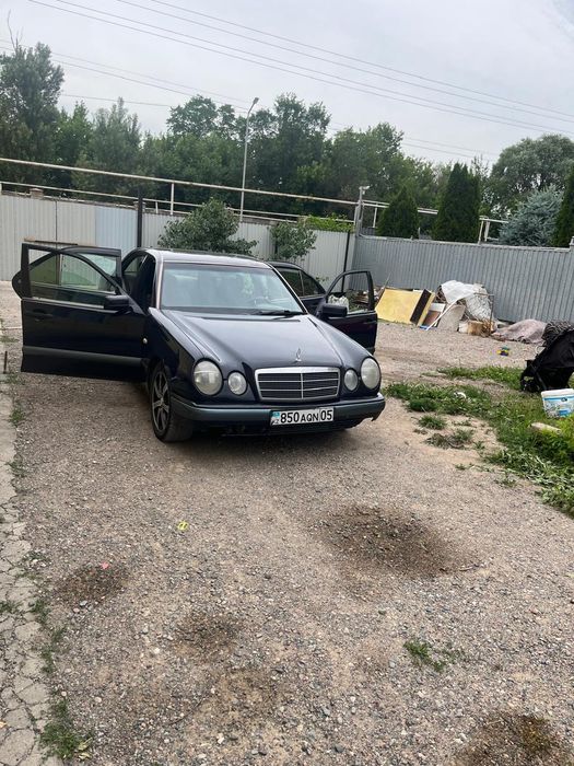 Мерседес лупарик