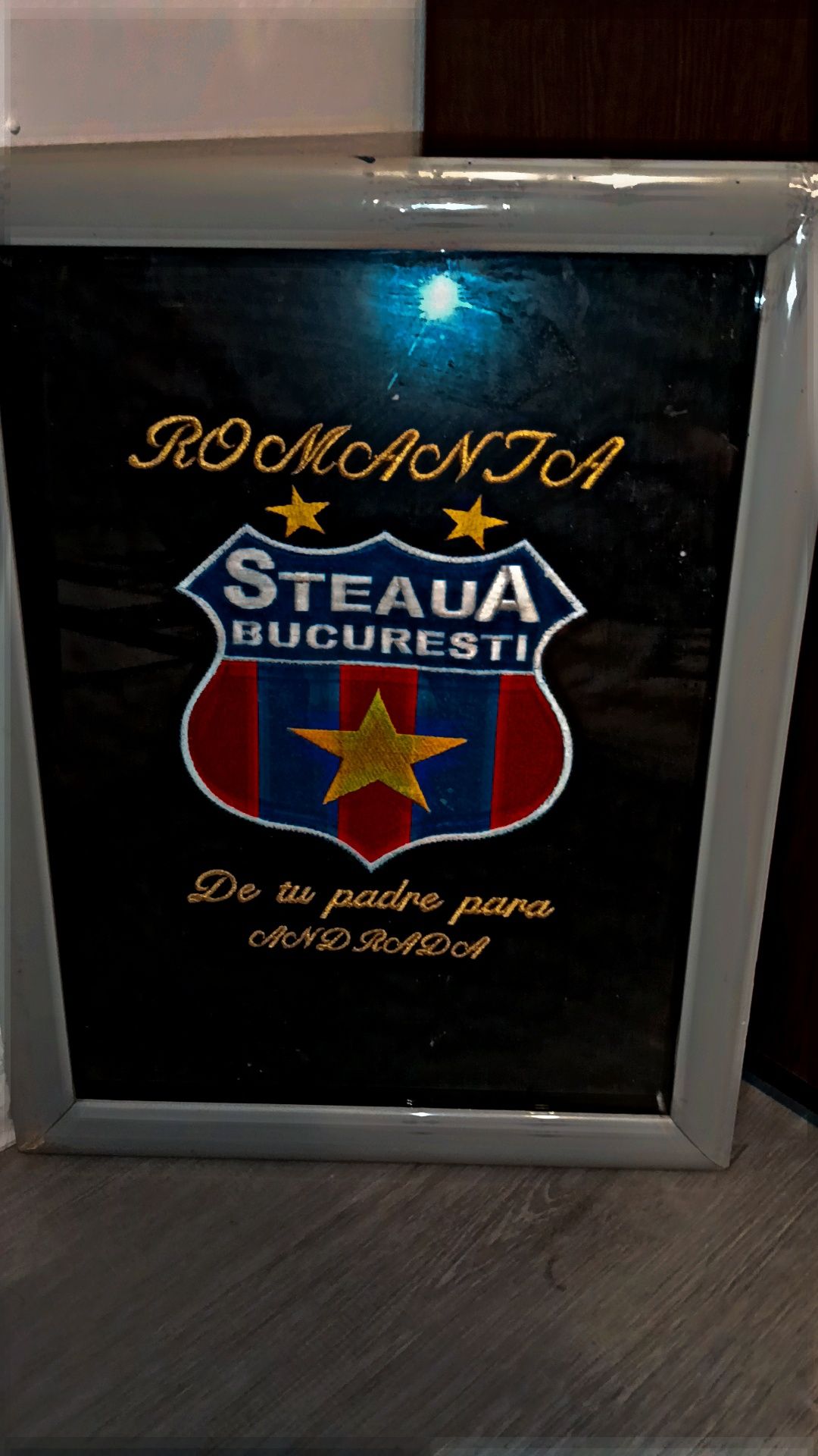 Tablou Steaua București