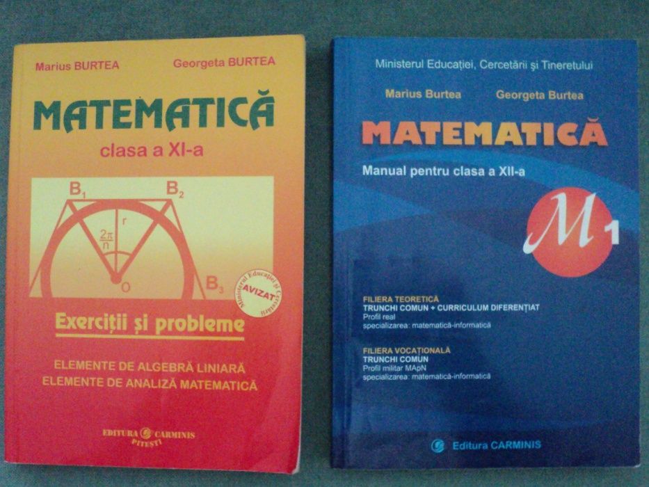 FOARTE UTIL !!! Manual Matematica clasa XI BURTEA studiu Bacalaureat