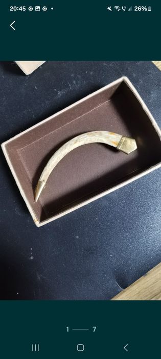 Broșa  aur  14 kt