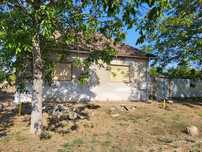 Vând casa solida, cu gradina si plantație de nuci în Grăniceri