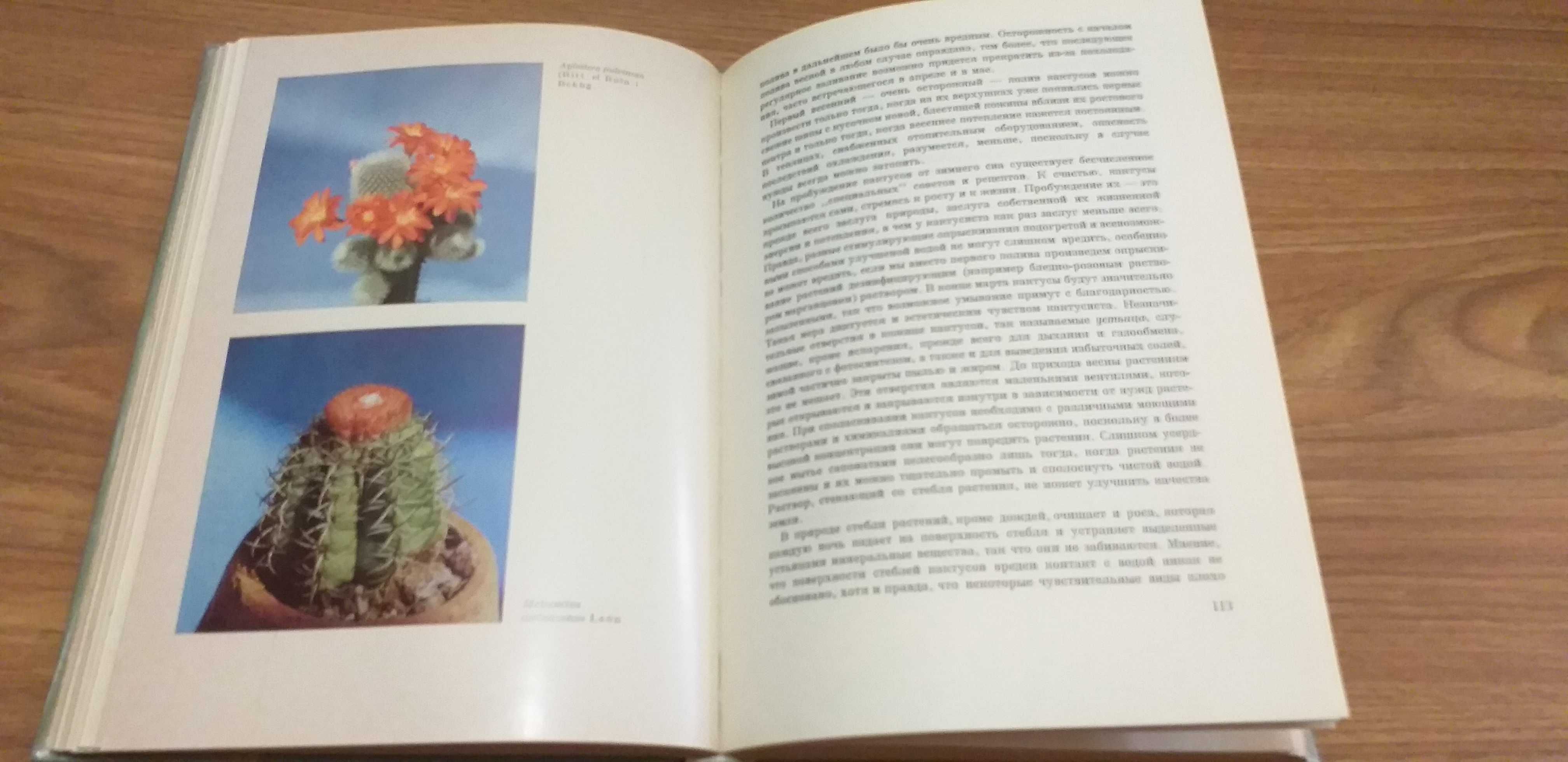 Большая книга о кактусах. "Колючее чудо"
