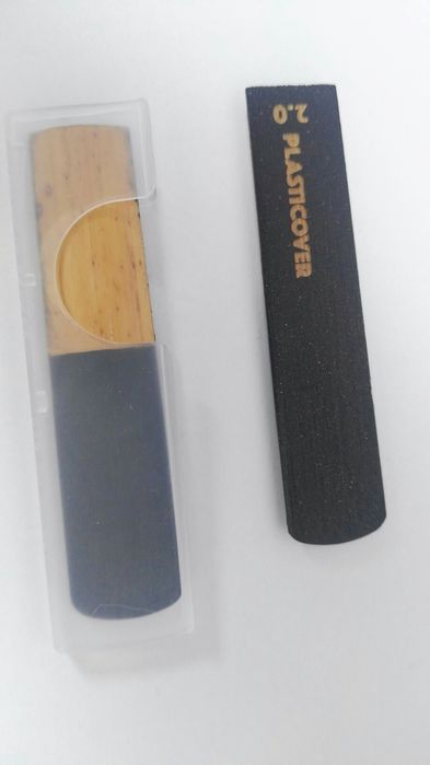 DAdario windows plasticovet alto sax 2