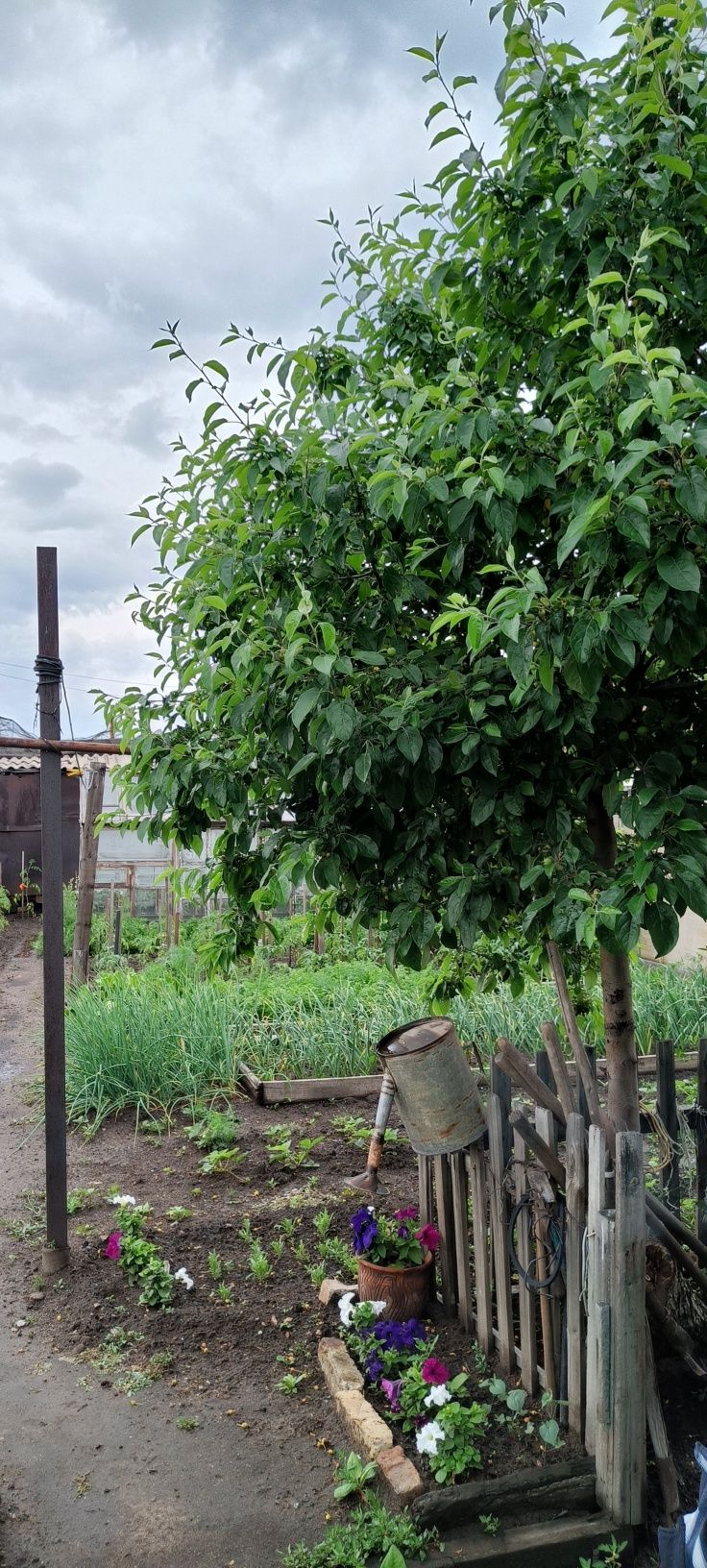 Дом на 5 квартале  ул.жамбыла 18б