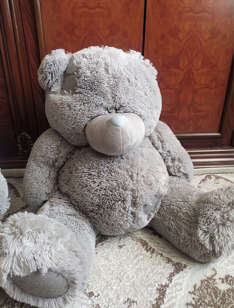 Teddy ayiq holati yengi
