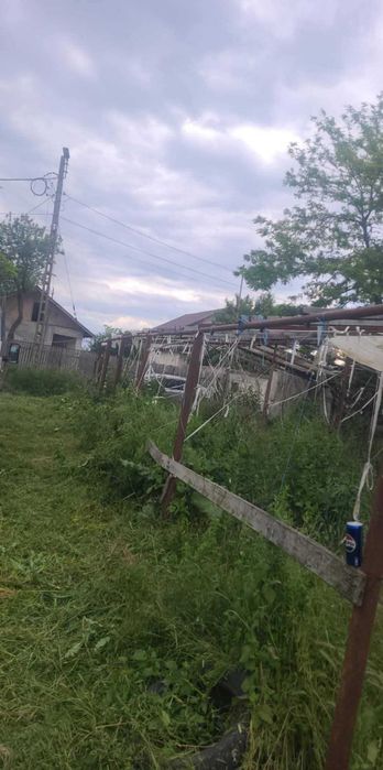 Loc ce vanzare comuna Sarbeni