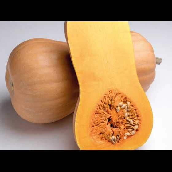 Sfecla rosie, Dovleac placintar