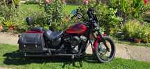Harley Davidson Street Bob 2019 - ca noua