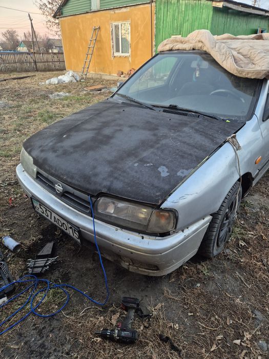 Продам два несана