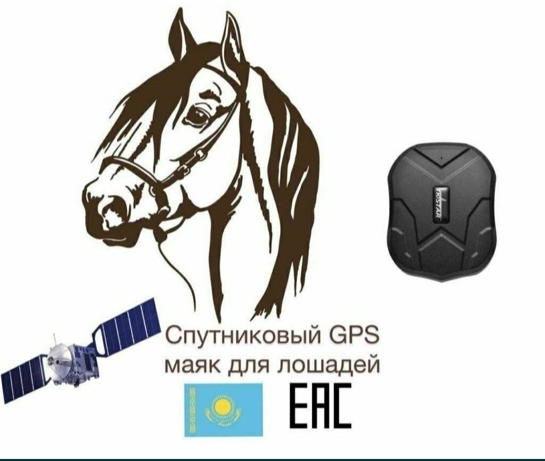 Трекер ЖПС GPS TKstar для отслеживания лошадей баранов коров авто и тд