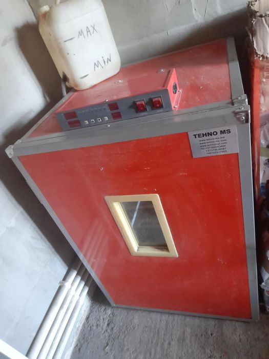 Incubator  MS294