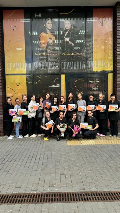 Профессиональная стрижка и вычес кошек салон ALIS GROOM на Юнусобаде