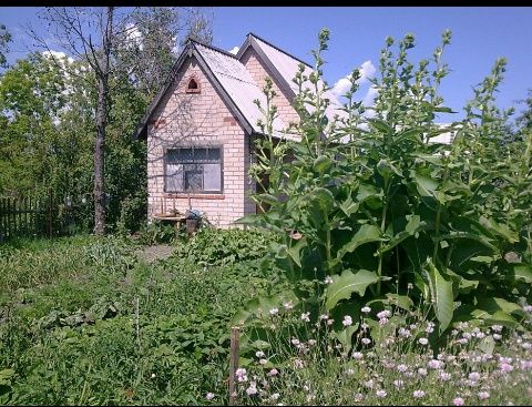 ДАЧА с домом в садовом обществе РАКЕТА