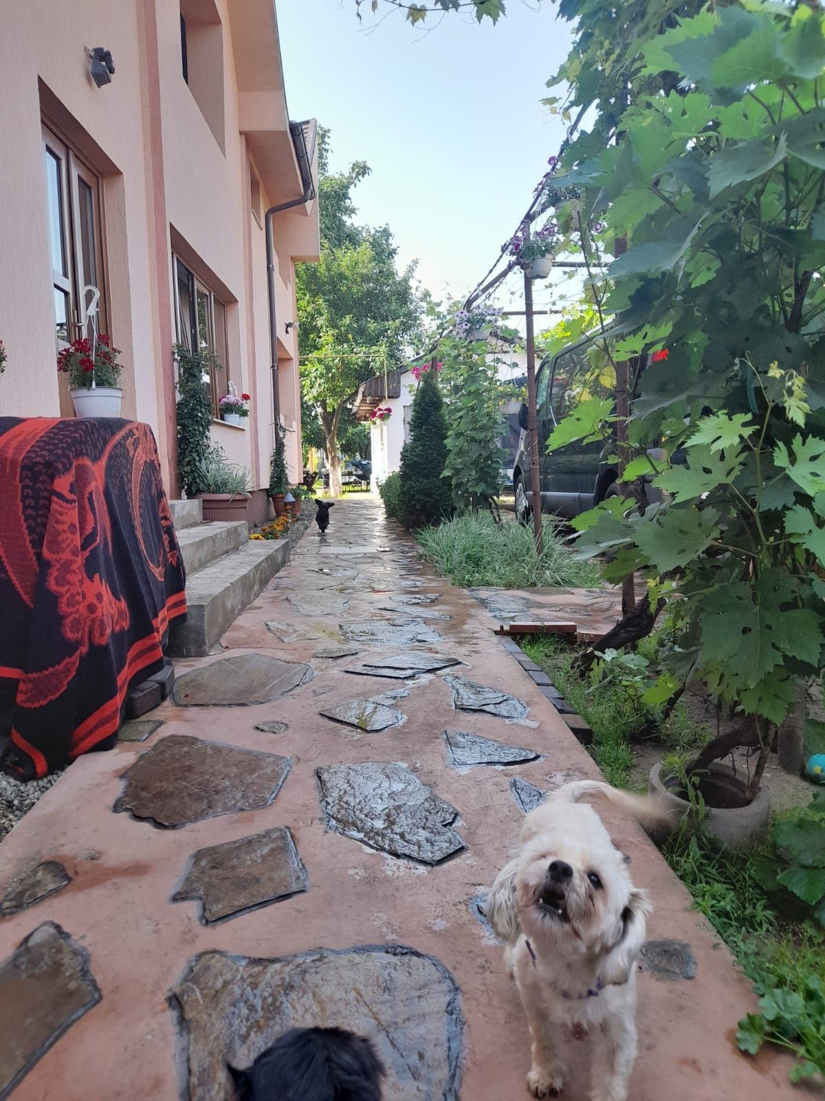 Casa de vinzare P+E+teren ieșire în 2 strazi