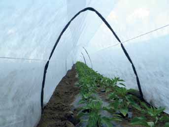 FOLIE MICROPOROASA AGRYL ANTI INGHET 12.65x100m; 15.8x100m; 18.95x100m