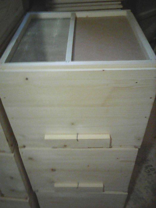 Stupi pe 10 rame  ,180 lei