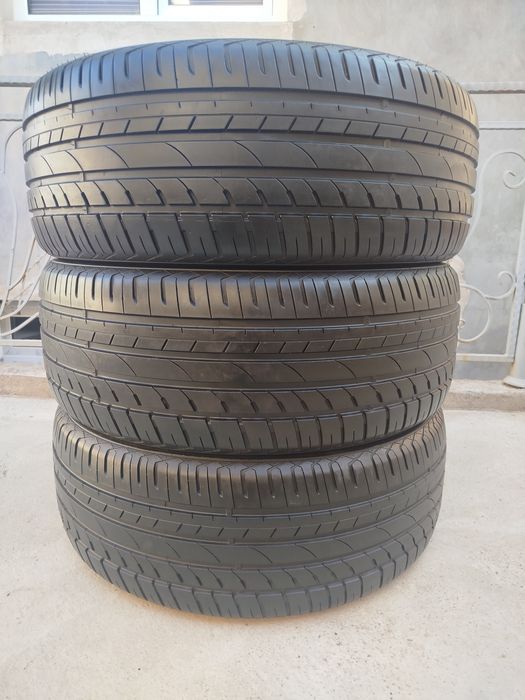 255 55 R19 Shina Gopro 3 dona