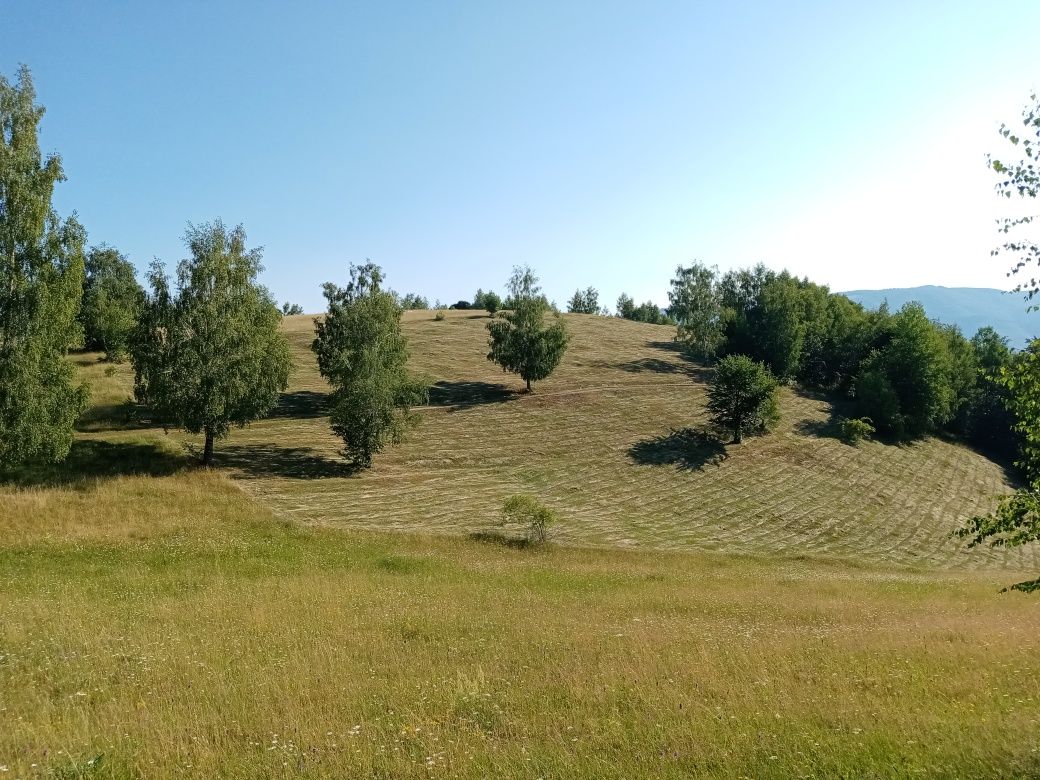 Vând teren în Satul Târsa!