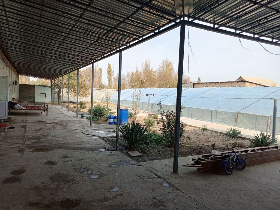 Kotta xovli sotiladi  sirdaryo tumani Sirdaryo shaxri .