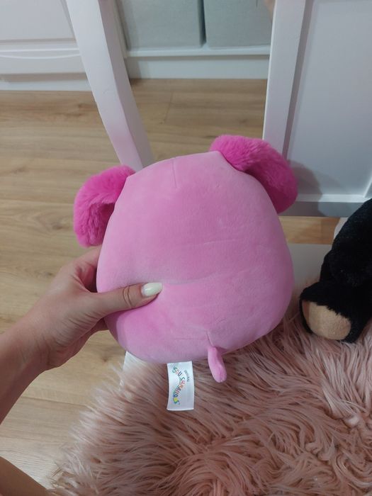 Plus Squishmallow caine roz