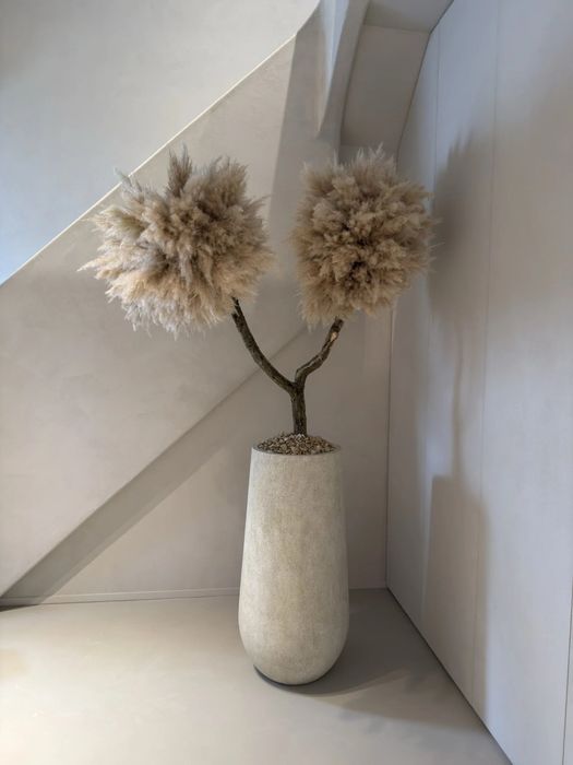 Декоративни дървета естествена еко декорация луксозна декорация бохо