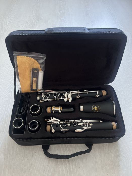 Vand clarinet scorpions nou