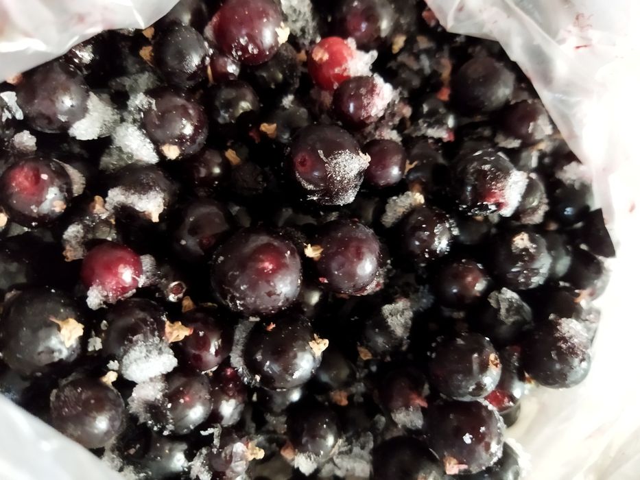 Продам свежемороженую смородину