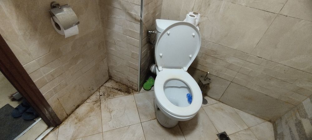 Професионално почистване  Професионално пране на меки мебели и мокет