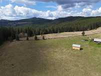 Teren de vanzare 15 hectare in Bucovina Moldova Sulita zona Lucina